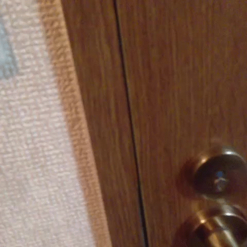 【おふざけVINE】これが本物のションベン臭い女！女友達のトイレに突撃するリア充のおふざけエロVINEをGIF画像にしたから保存しとけよｗｗｗ その1
