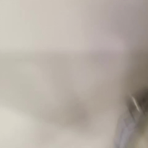 【おふざけVINE】これが本物のションベン臭い女！女友達のトイレに突撃するリア充のおふざけエロVINEをGIF画像にしたから保存しとけよｗｗｗ その2