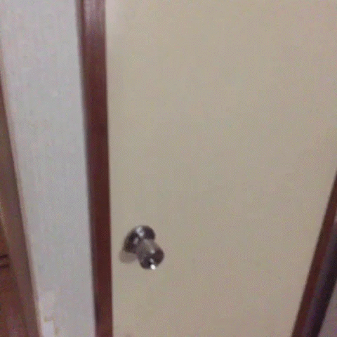 【おふざけVINE】これが本物のションベン臭い女！女友達のトイレに突撃するリア充のおふざけエロVINEをGIF画像にしたから保存しとけよｗｗｗ その6